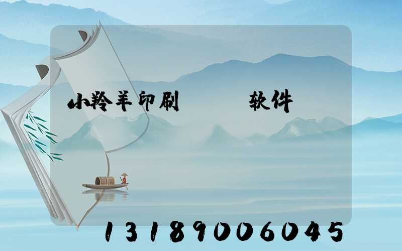 小羚羊印刷erp软件