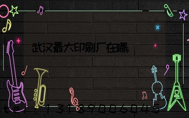 武汉最大印刷厂在哪