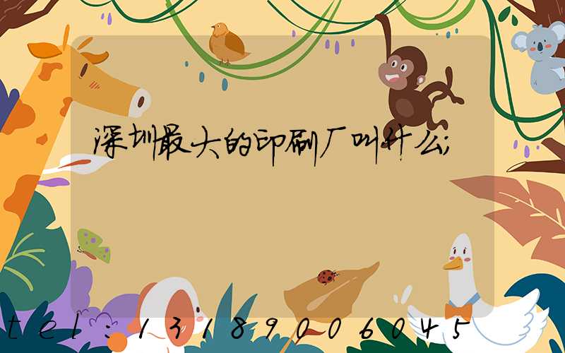 深圳最大的印刷厂叫什么
