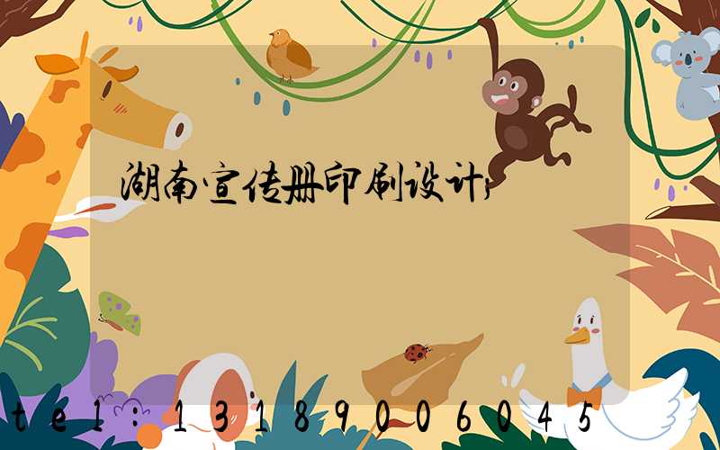 湖南宣传册印刷设计